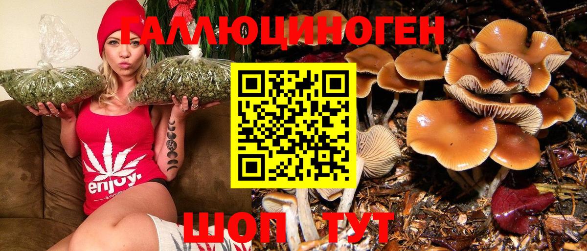 Галлюциногенные грибы Psilocybine cubensis Донецк